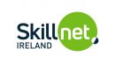 Skillnet Ireland_high res logo